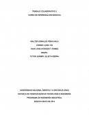 Inferencia estadistica.