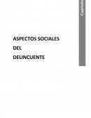 El contexto familiar en el aprendizaje de la conducta delictiva..