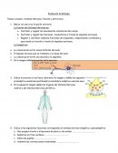 Evaluacion de biologia.