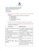 Habilidades básicas del pensamiento. Preguntas