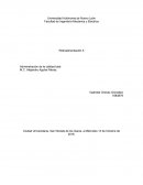 La Retroalimentacion.