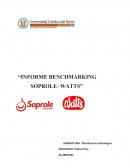 Benchmarking Soprole-Watts.