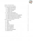 Proyecto de jugueria SAN AGUSTIN