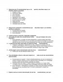 Actividad 4 Liderazgo Tecmi.