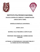 El Código de ética Profesional.