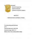 Identificacion de aldehidos y cetonas- Reporte de laboratorio