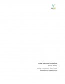 Solucion al caso educar bien o ser rentables.