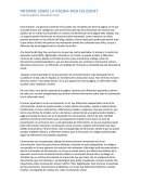 INFORME SOBRE LA PÁGINA WEB EDUSONET.