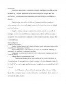 Plantillas y macros.