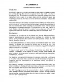 Essay about ecommerce.