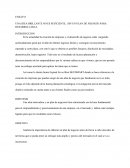 UNA IDEA BRILLANTE NO ES SUFICIENTE, SIN UN PLAN DE NEGOCIO PARA DESARROLLARLA.