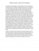 Relación entre matrix y el mito de la caverna de platón