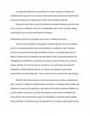 Ensayo argumentativo. ﻿﻿﻿﻿﻿﻿﻿﻿La naturaleza cada dia nos sorprende con nuevas especies increibles de animales
