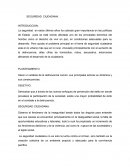 Ensayo - La Seguridad ciudadana