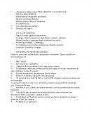 ¿Qué tipos de células existen? Procariontes y eucariontes