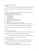 CATALOGO DE PROVEEDORES (RESUMEN)