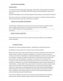 Acto Dia de la Bandera