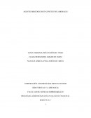 PROGRAMA ADMINISTRACION EN SALUD OCUPACIONAL.