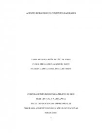 PROGRAMA ADMINISTRACION EN SALUD OCUPACIONAL.. Página 1