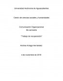 Investigación de mercados. Comunicación Organizacional