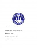 PROYECTO: SANIDAD INTERIOR