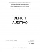 OBSERVACION NIÑO CON DEFICIT AUDITIVO.
