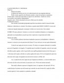 CALOR ESPECÍFICO Y DENSIDAD.