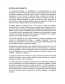 Metodologia Transecto