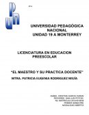 El maestro en su practica docente.