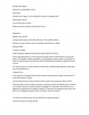 Brocheta pan baguet.