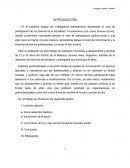 Los jovenes de ahora.