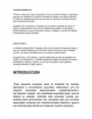 METAS EN EL DEPARTAMENTO DE PRODUCCION.