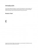 Ensayo del aborto.