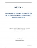 VALIDACIÓN DE PRODUCTOS BIOFÍSICOS DE LA CUBIERTA VEGETAL DERIVADOS A PARTIR DE SATÉLITE.