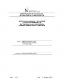 PROYECTO DE INVESTIGACION SATISFACCION Y CALIDAD MARINO MOLINA