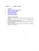 Antecedentes y características de Seis Sigma