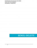 En los primeros años de vida, la empresa comenzó con la elaboración de jugos Lury- Frut en 4 sabores y en envases de 2 litros.