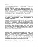 Teoría del Vínculo.