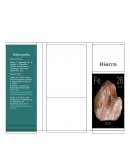 Historia y Características del Hierro