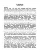 Perfume de Mujer Resumen-Preguntas