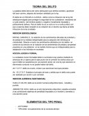 TEORIA DEL DELITO. ELEMENTOS DEL TIPO PENAL