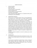 INFORME PSICOLÓGICO BADICBALE