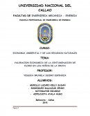 VALORACION ECONOMICA DE LA CONTAMINACION DE PLOMO EN LOS NIÑOS DE LA OROYA