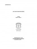NUEVO TIPO DE REDUCTOR DE VELOCIDAD EN SANTANDER DE QUILICHAO (CAUCA)