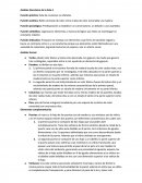 Función estética: Bello contraste de color entre el piso de color esmeralda y la madera.