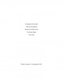 Investigación de mercado Taller de Investigación