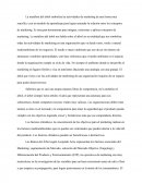 La metafora del arbol