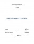 Proyecto hidropónico de ají dulce.