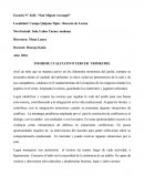 Informe Final 5 años.