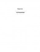 Documentación de procesos.